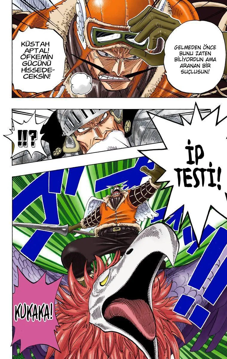 One Piece [Renkli] - Sayfa 5