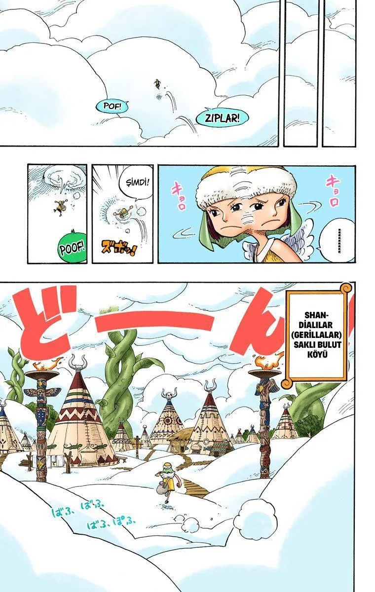 One Piece [Renkli] - Sayfa 6