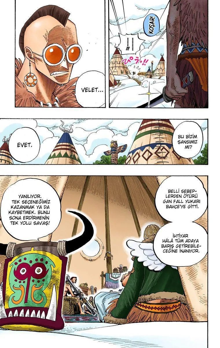 One Piece [Renkli] - Sayfa 8