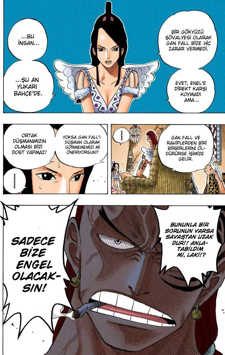 One Piece [Renkli] - Sayfa 11