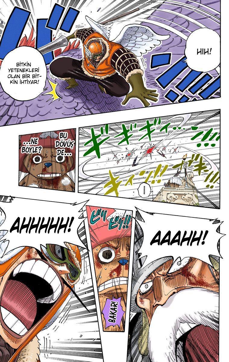 One Piece [Renkli] mangasının 0249 bölümünün 16. sayfasını okuyorsunuz.