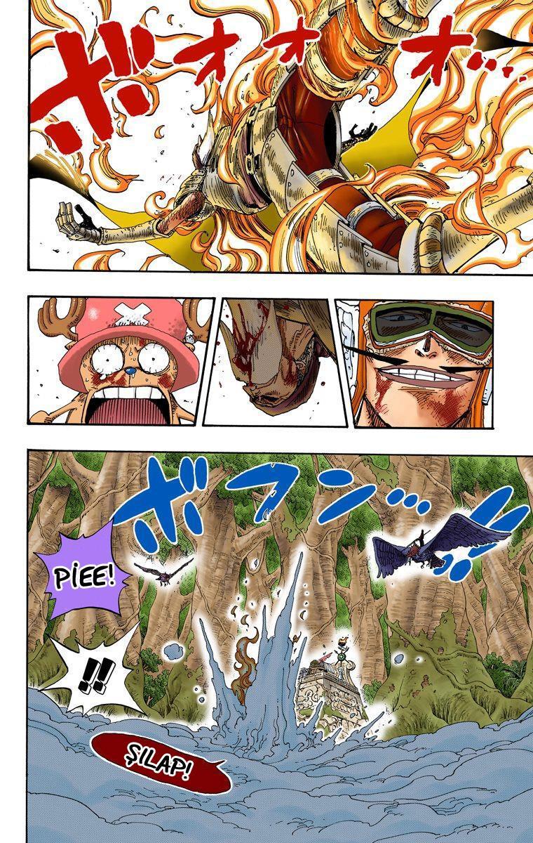 One Piece [Renkli] mangasının 0250 bölümünün 3. sayfasını okuyorsunuz.
