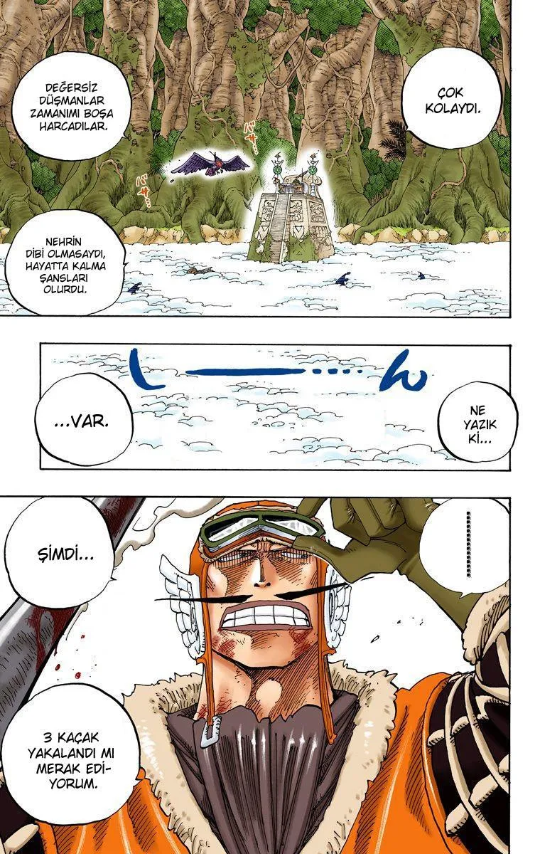 One Piece [Renkli] - Sayfa 6