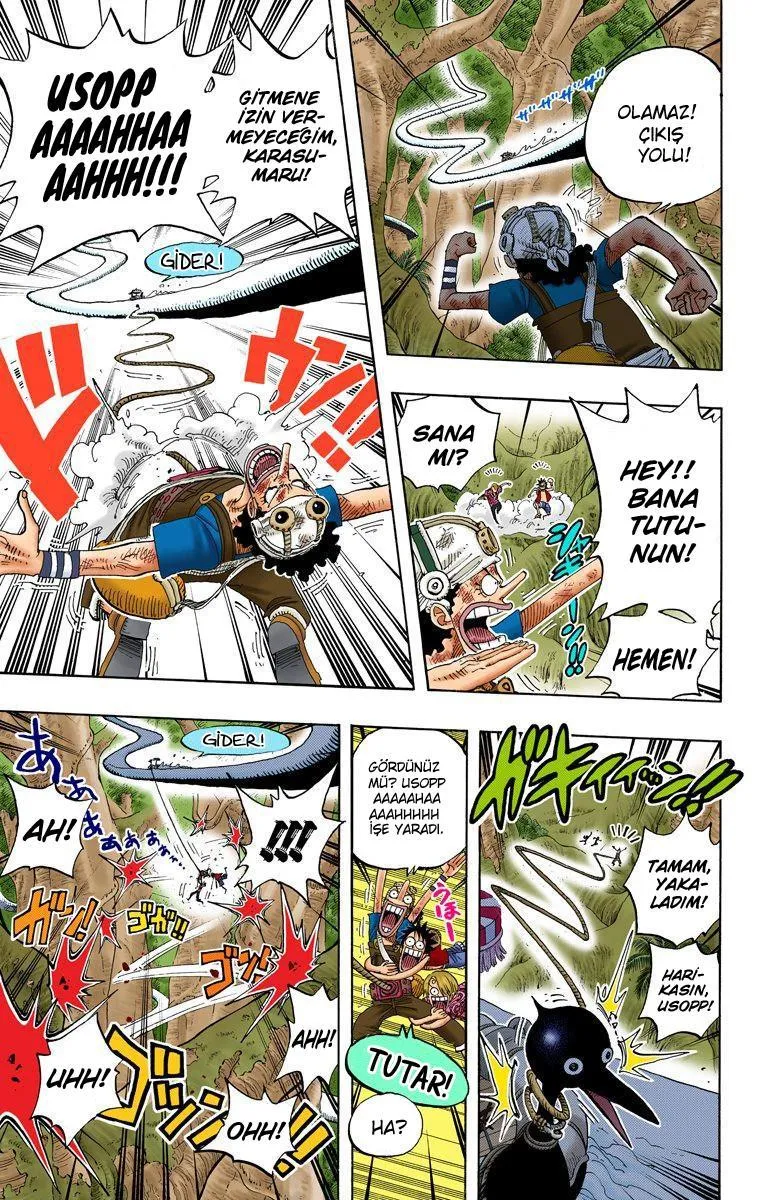 One Piece [Renkli] - Sayfa 6