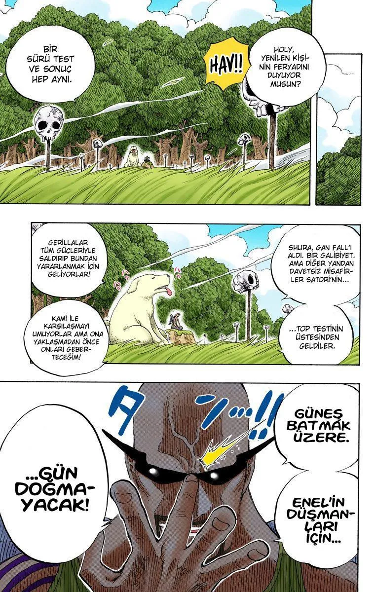 One Piece [Renkli] - Sayfa 10