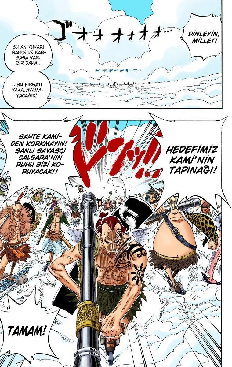 One Piece [Renkli] - Sayfa 12