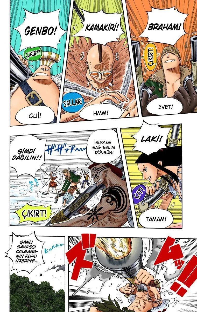 One Piece [Renkli] - Sayfa 13