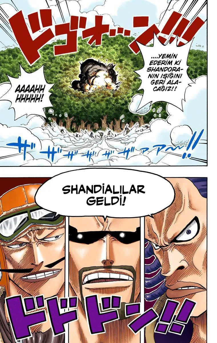 One Piece [Renkli] - Sayfa 14