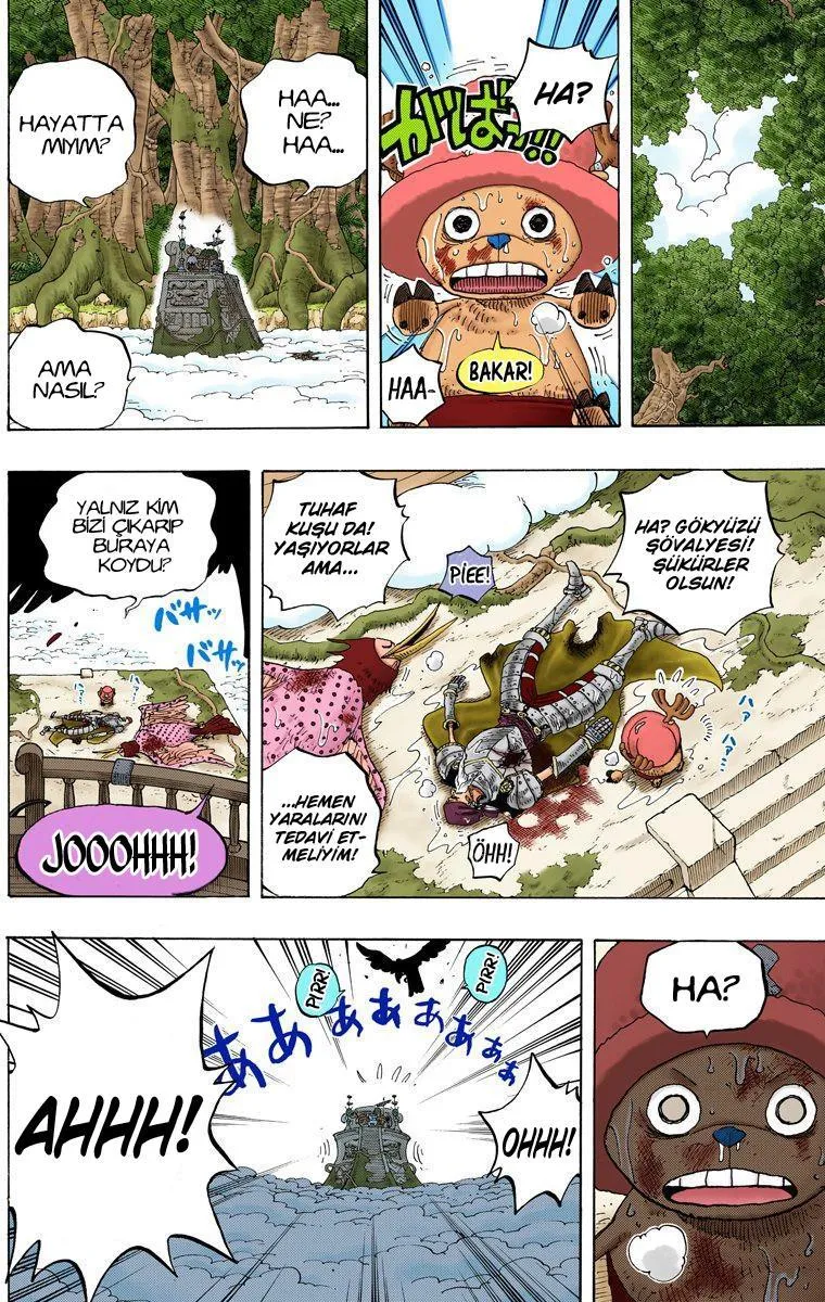 One Piece [Renkli] - Sayfa 15