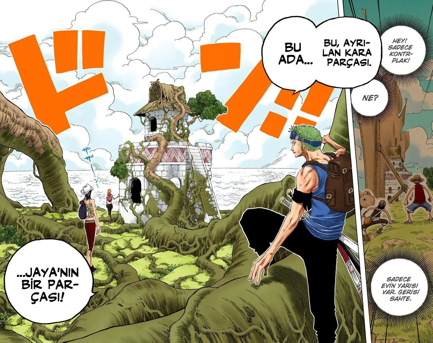 One Piece [Renkli] - Sayfa 17