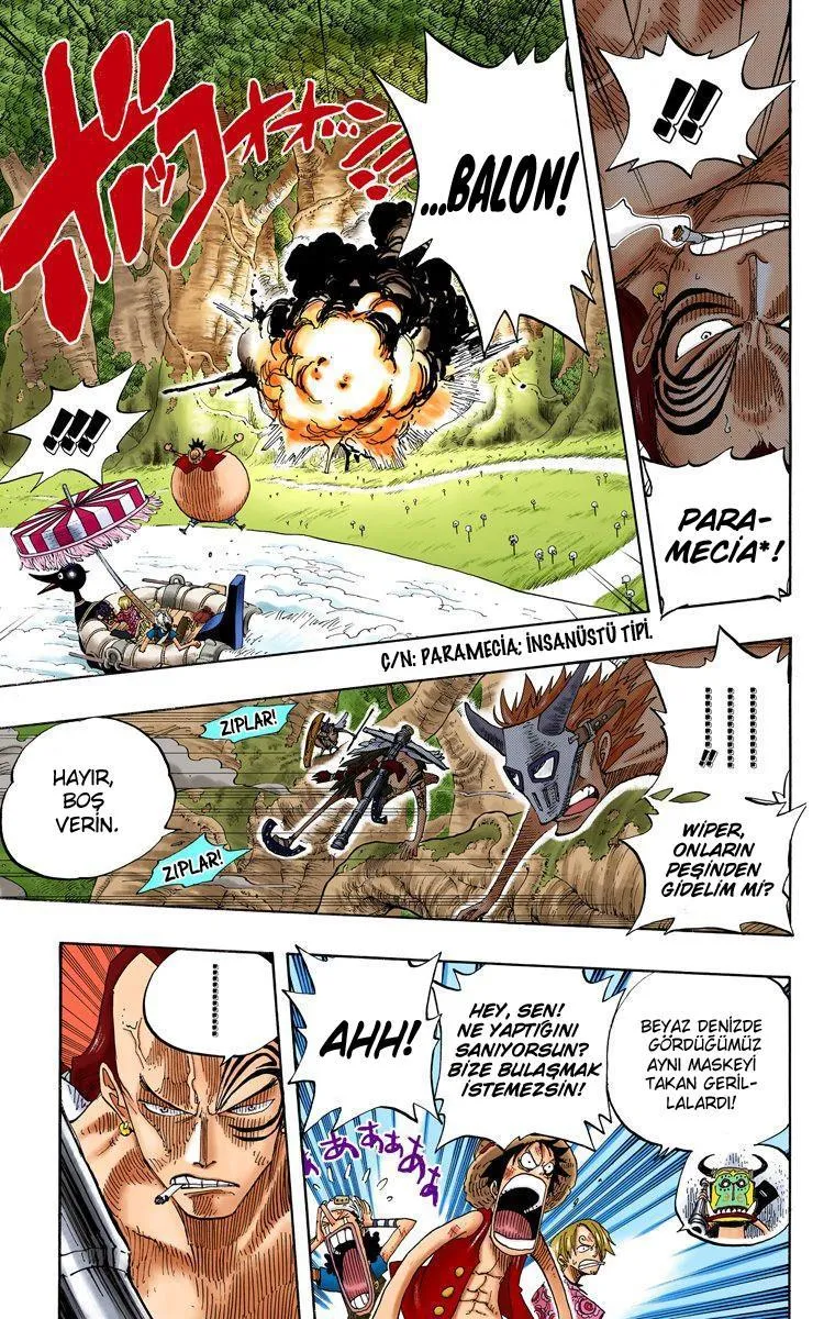 One Piece [Renkli] - Sayfa 8