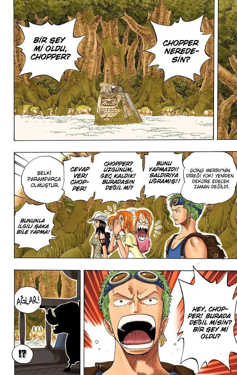 One Piece [Renkli] - Sayfa 15