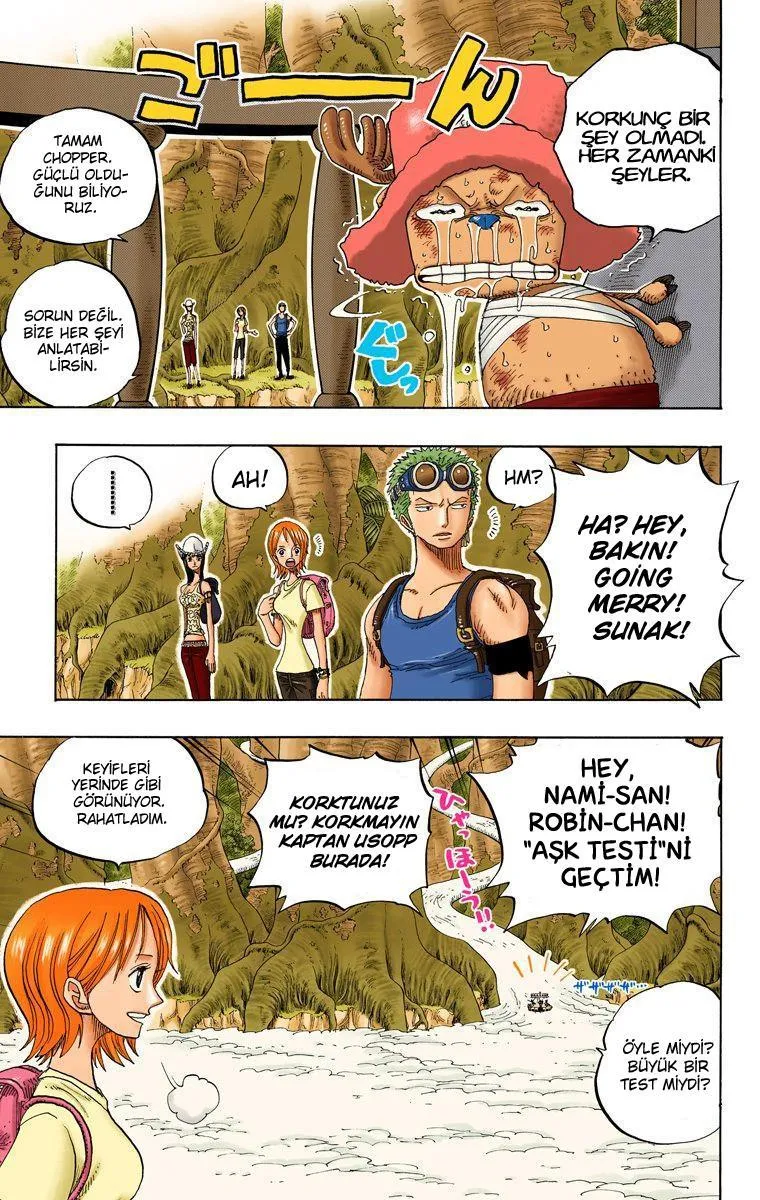One Piece [Renkli] - Sayfa 16