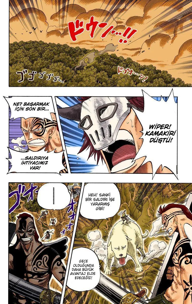 One Piece [Renkli] - Sayfa 3