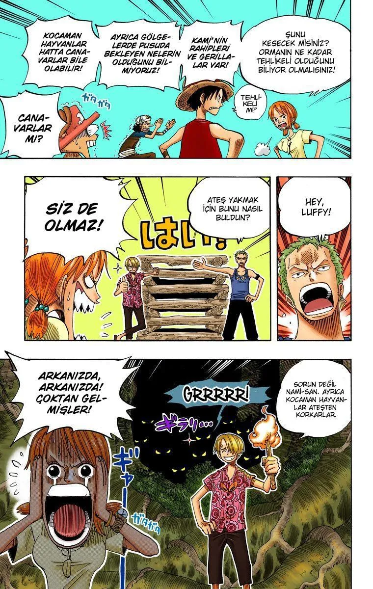 One Piece [Renkli] - Sayfa 14
