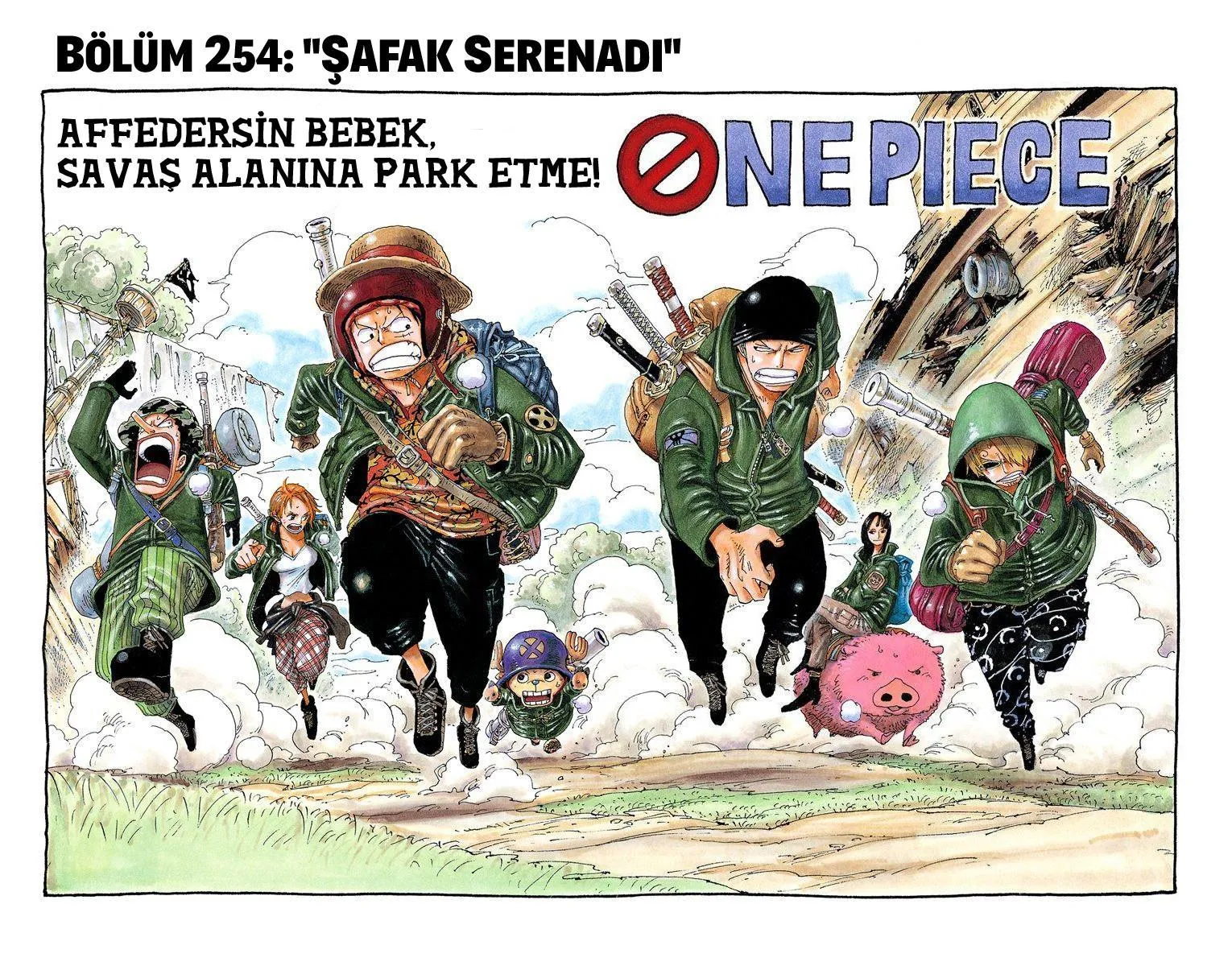 One Piece [Renkli] - Sayfa 2