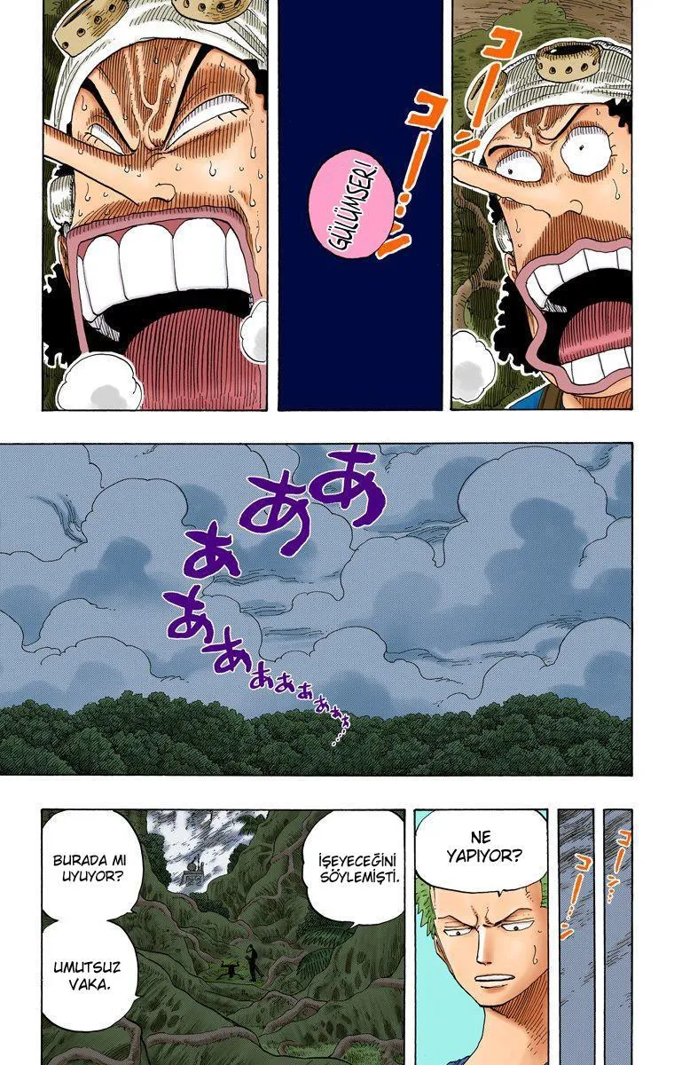 One Piece [Renkli] - Sayfa 5