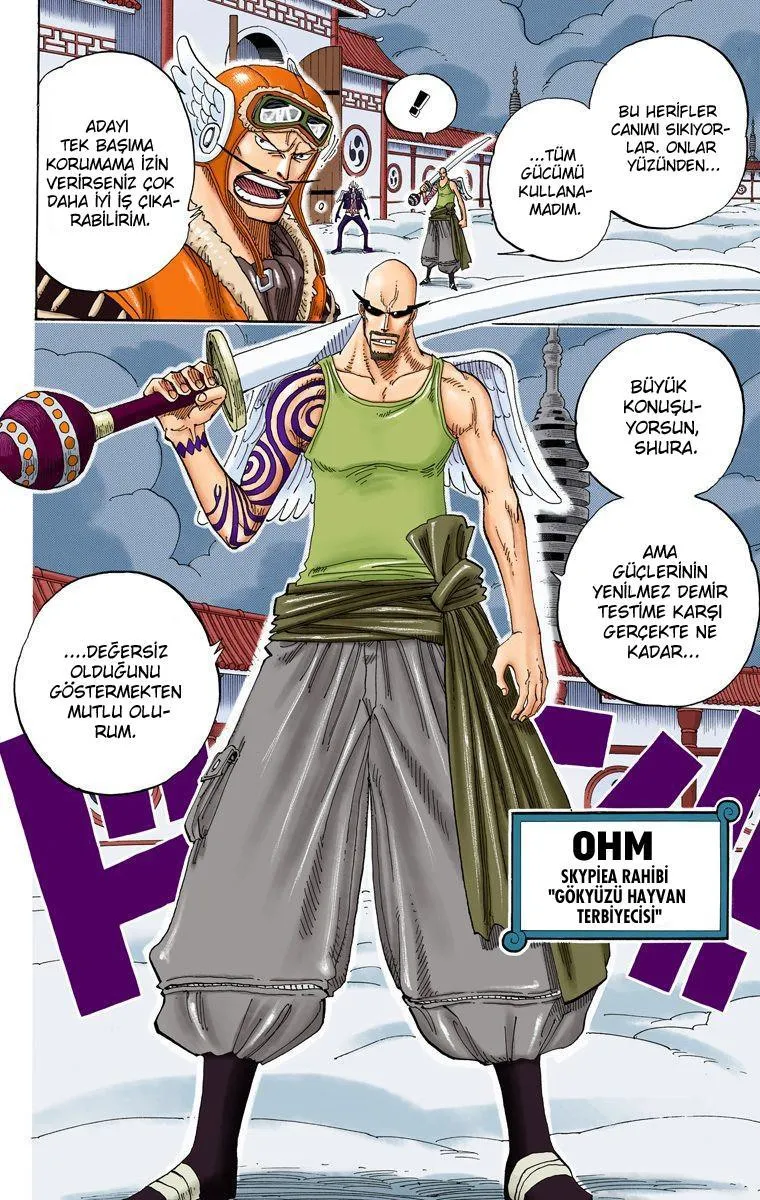 One Piece [Renkli] - Sayfa 8