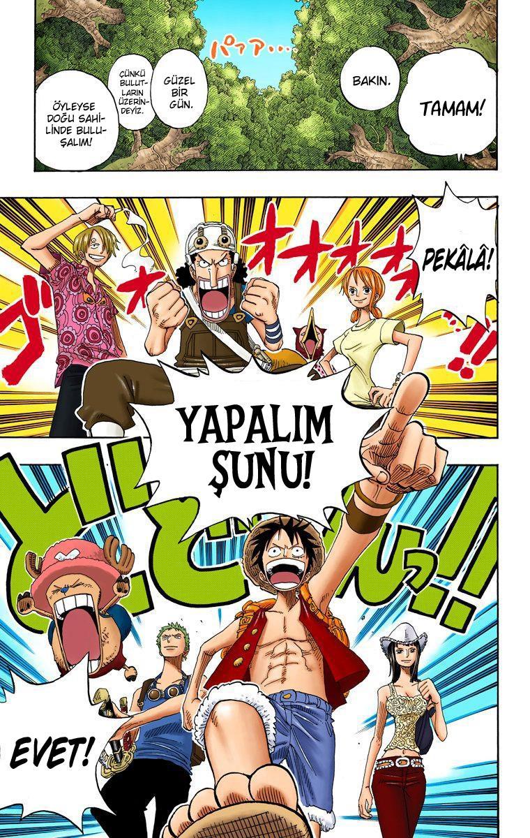 One Piece [Renkli] mangasının 0254 bölümünün 17. sayfasını okuyorsunuz.