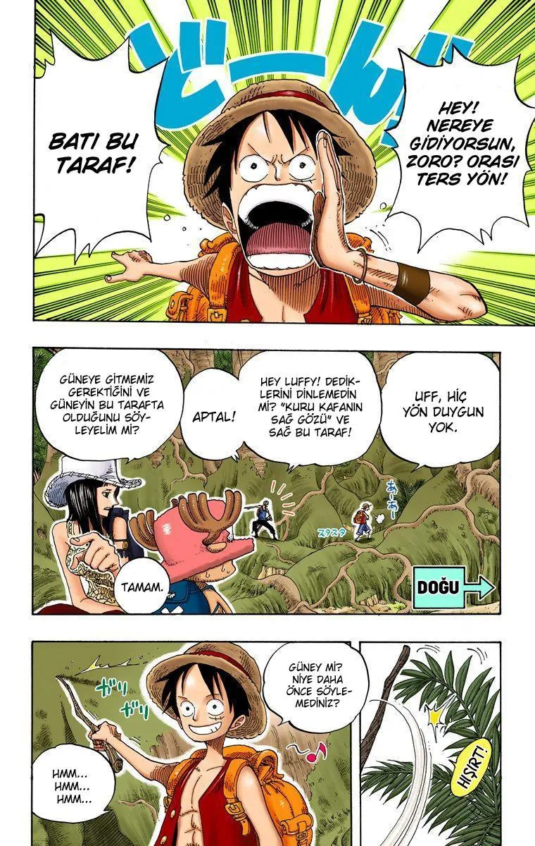 One Piece [Renkli] - Sayfa 3