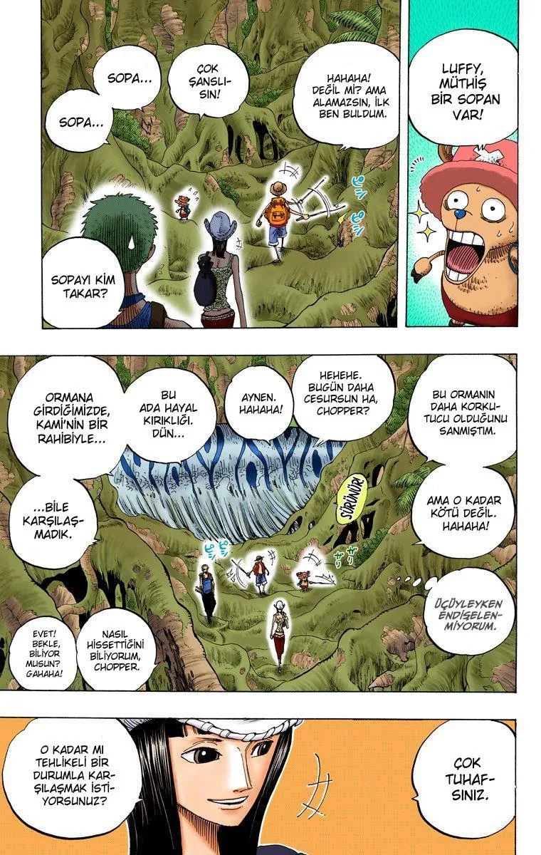 One Piece [Renkli] - Sayfa 4