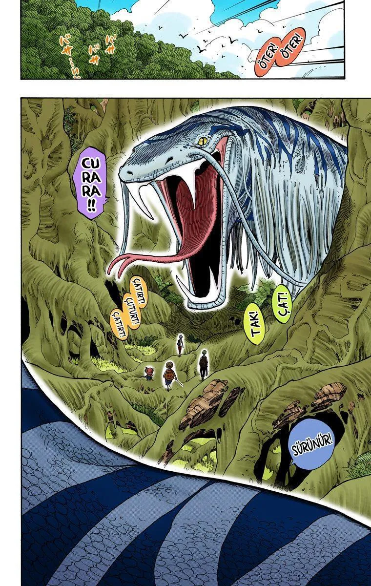 One Piece [Renkli] - Sayfa 5