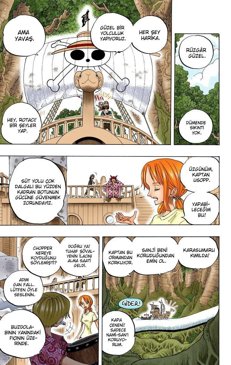 One Piece [Renkli] - Sayfa 6