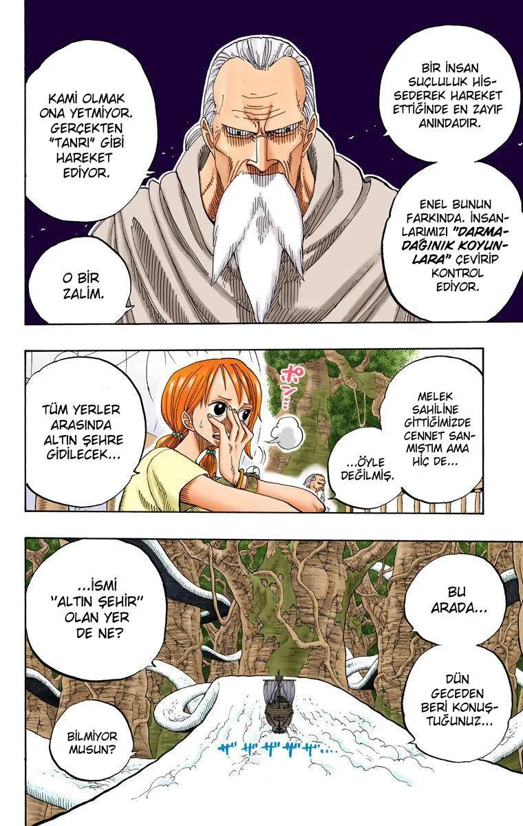 One Piece [Renkli] - Sayfa 13