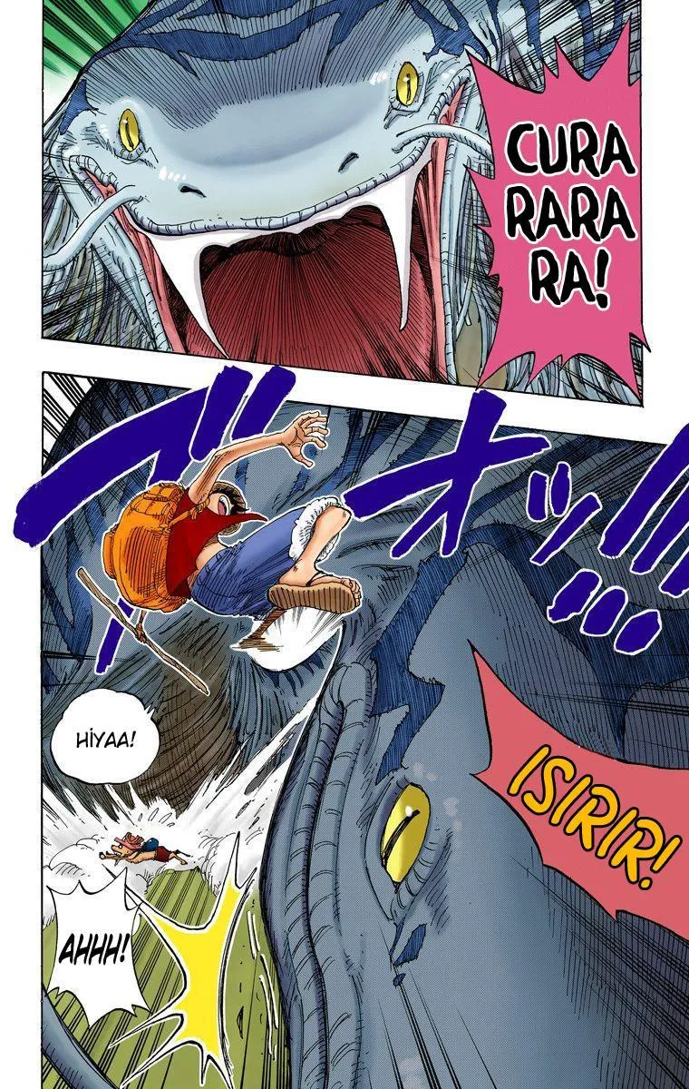 One Piece [Renkli] - Sayfa 15