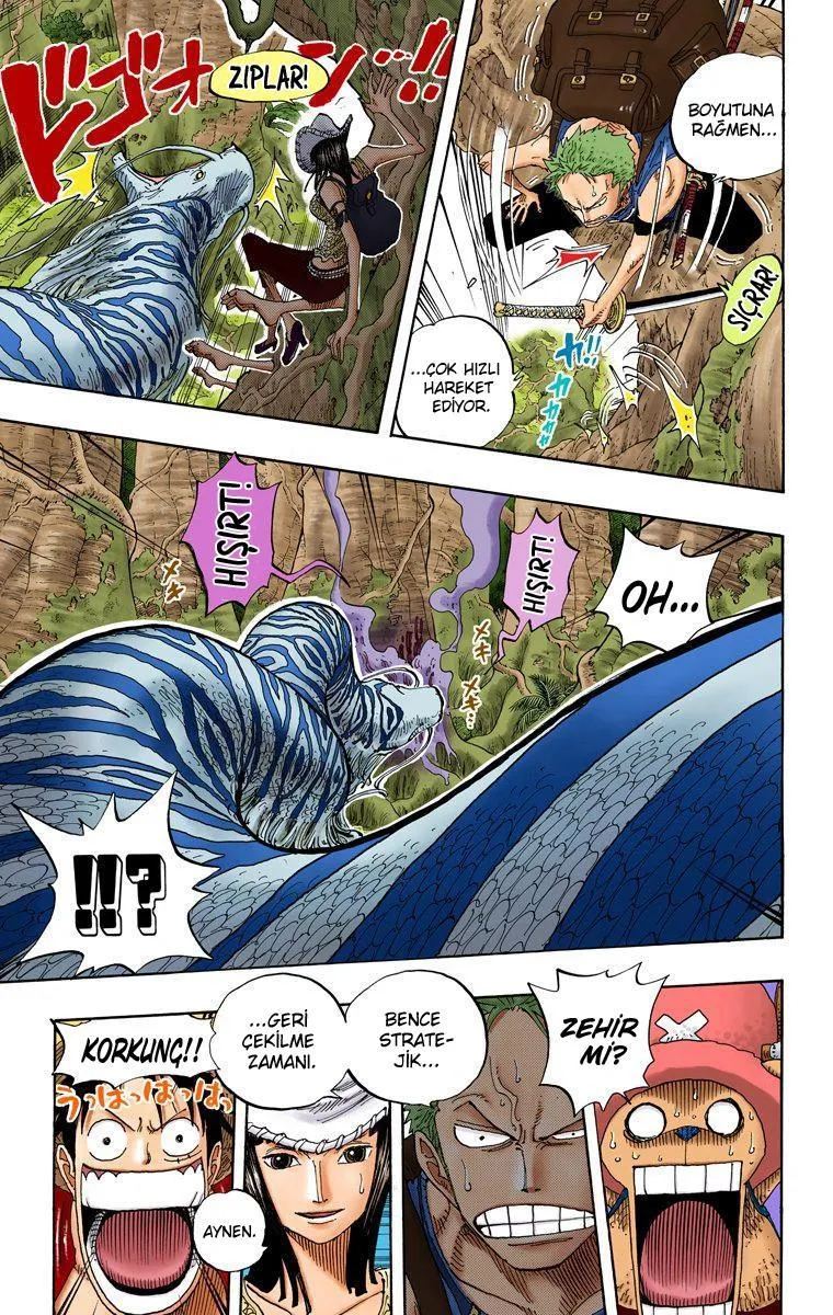 One Piece [Renkli] - Sayfa 16