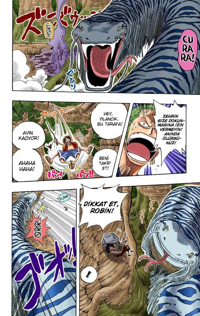 One Piece [Renkli] - Sayfa 17