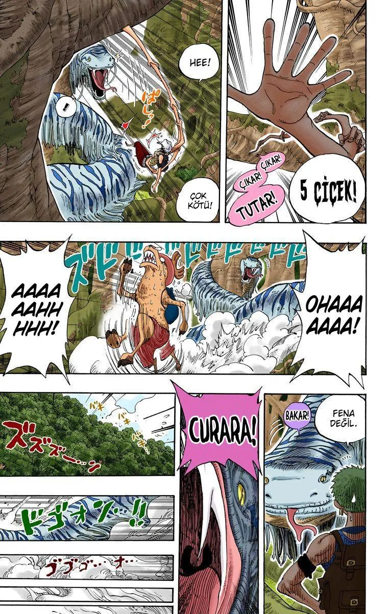 One Piece [Renkli] - Sayfa 18