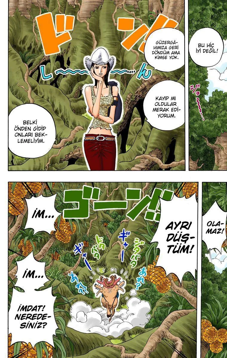 One Piece [Renkli] - Sayfa 19