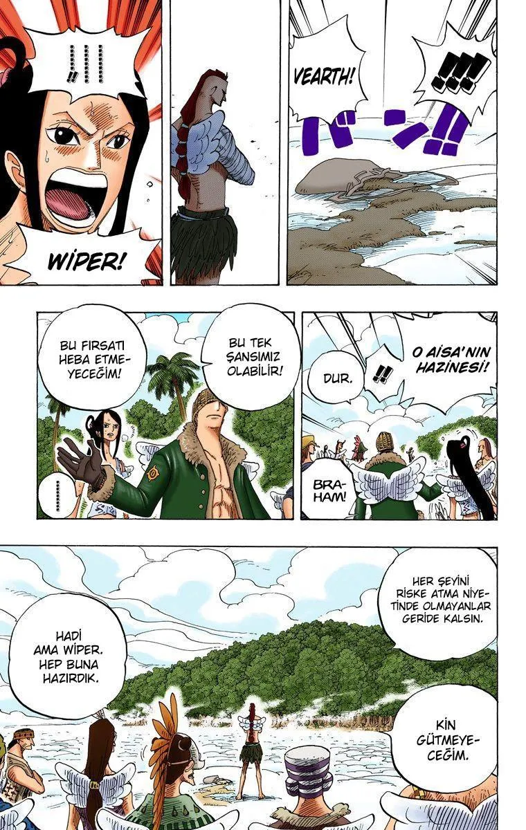 One Piece [Renkli] - Sayfa 8