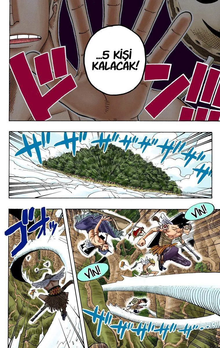 One Piece [Renkli] - Sayfa 13