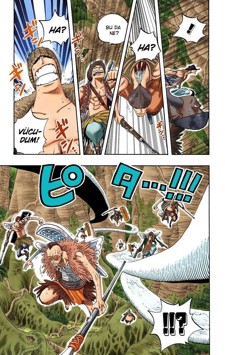 One Piece [Renkli] - Sayfa 14