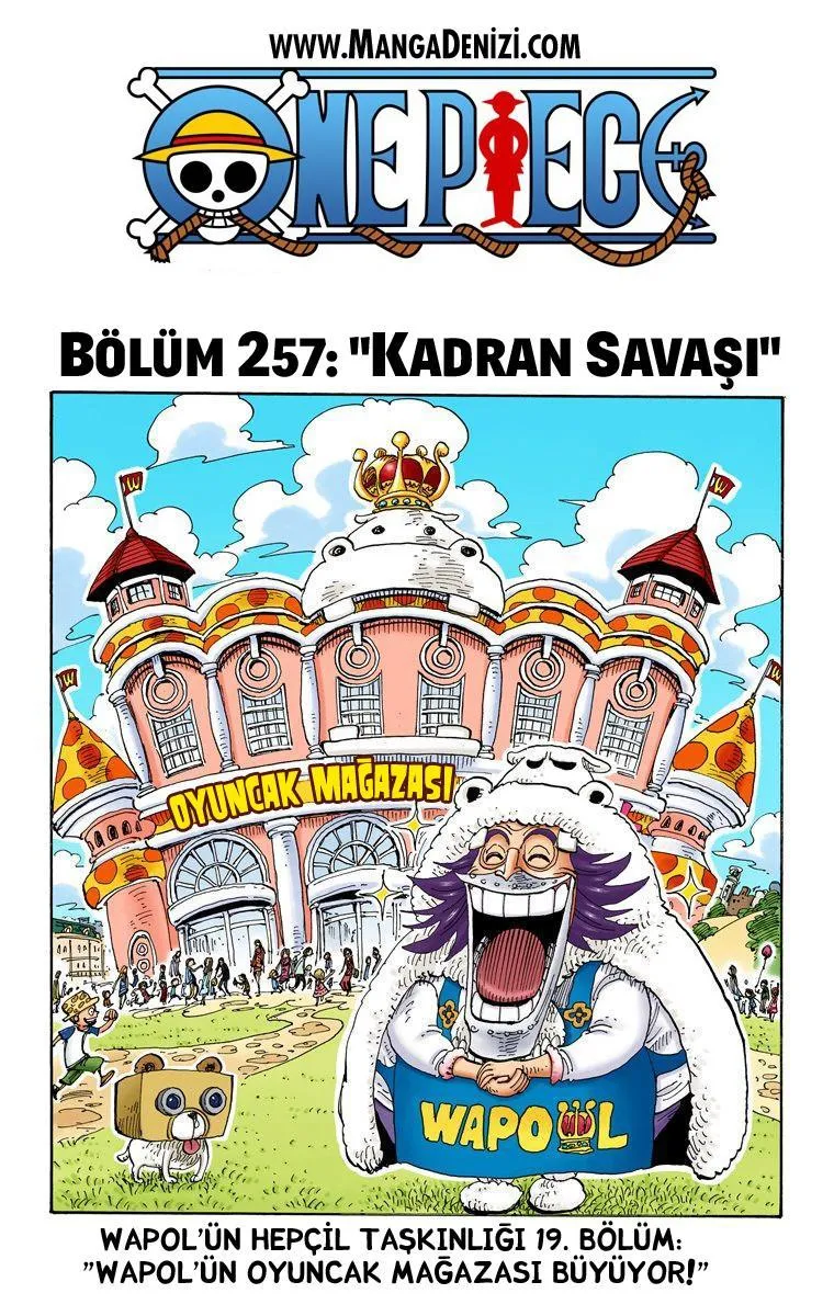 One Piece [Renkli] - Sayfa 2