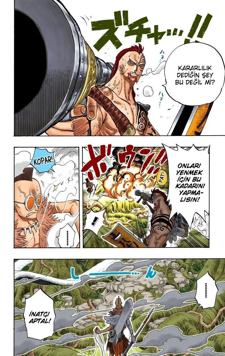 One Piece [Renkli] - Sayfa 13