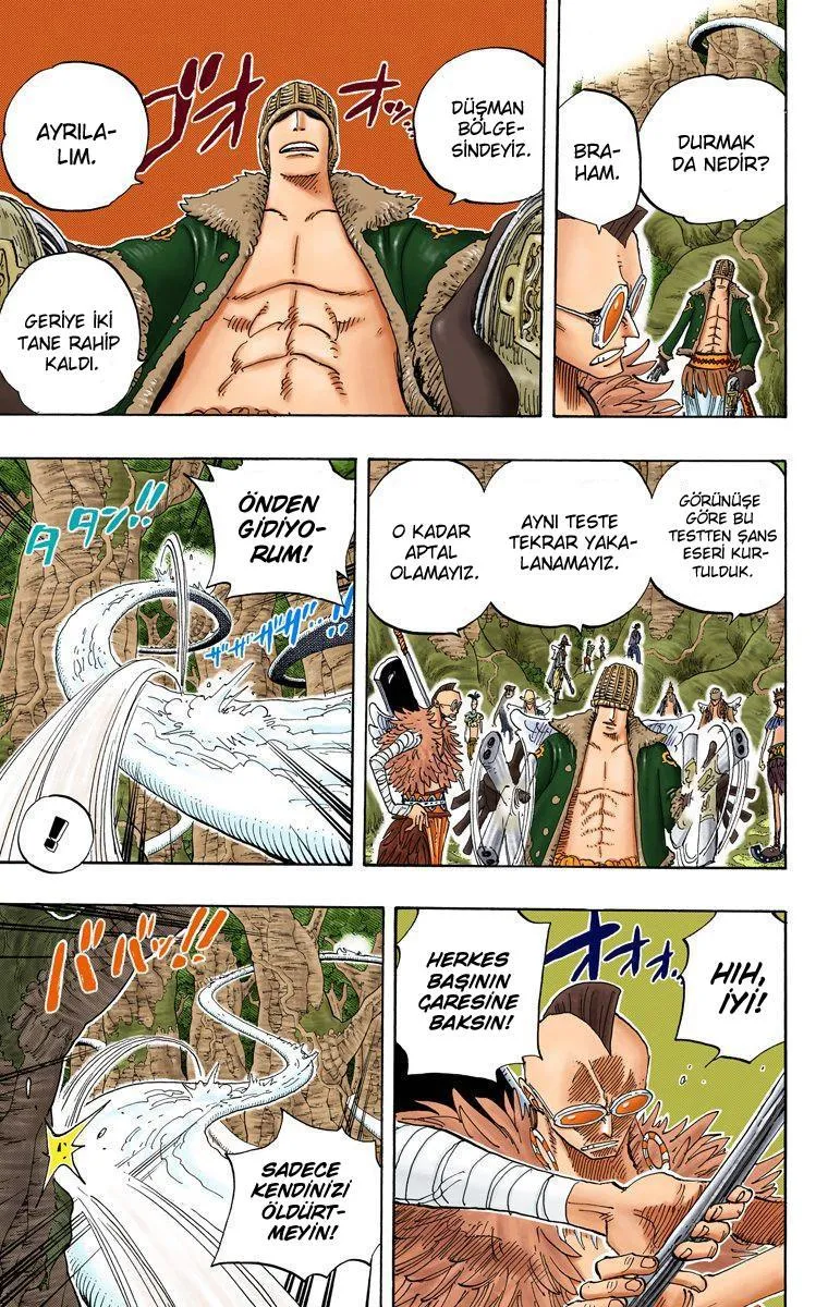 One Piece [Renkli] - Sayfa 14