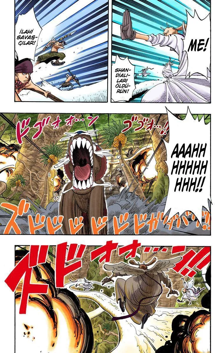 One Piece [Renkli] - Sayfa 6