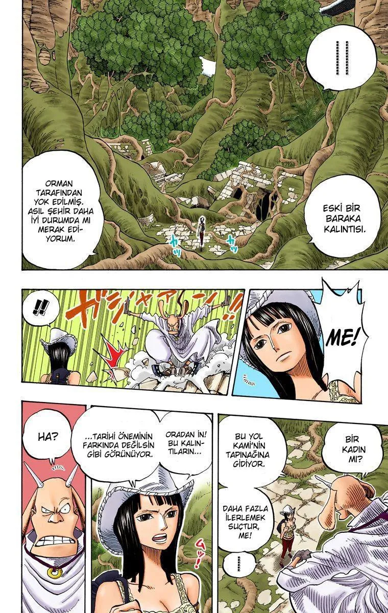 One Piece [Renkli] - Sayfa 9