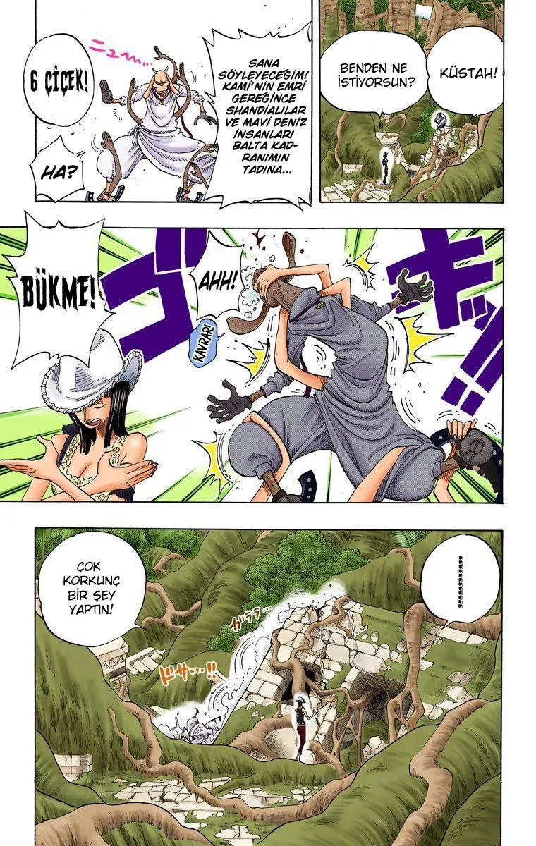 One Piece [Renkli] - Sayfa 10