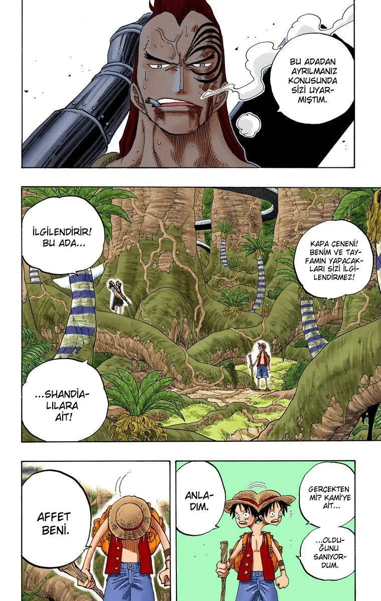 One Piece [Renkli] - Sayfa 11