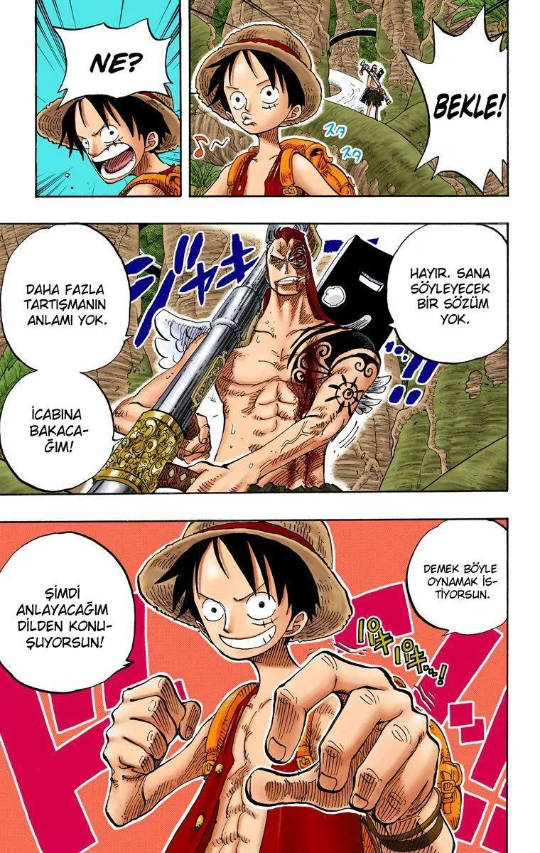 One Piece [Renkli] - Sayfa 12