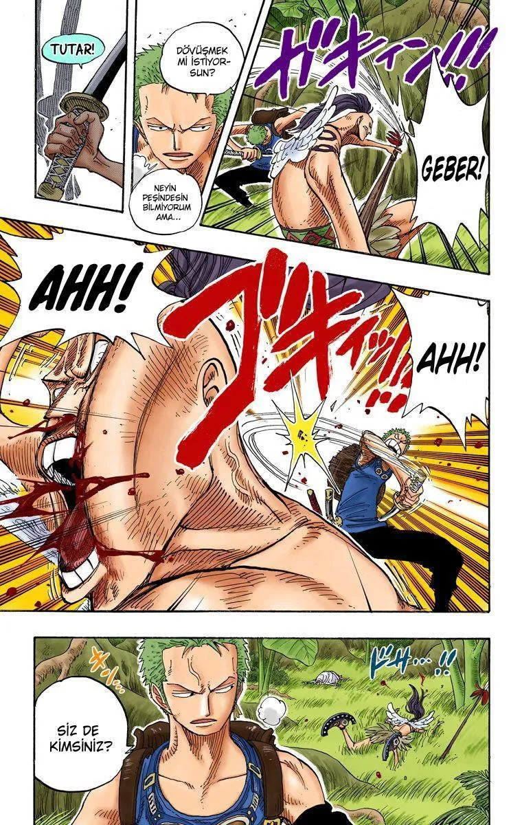 One Piece [Renkli] - Sayfa 14