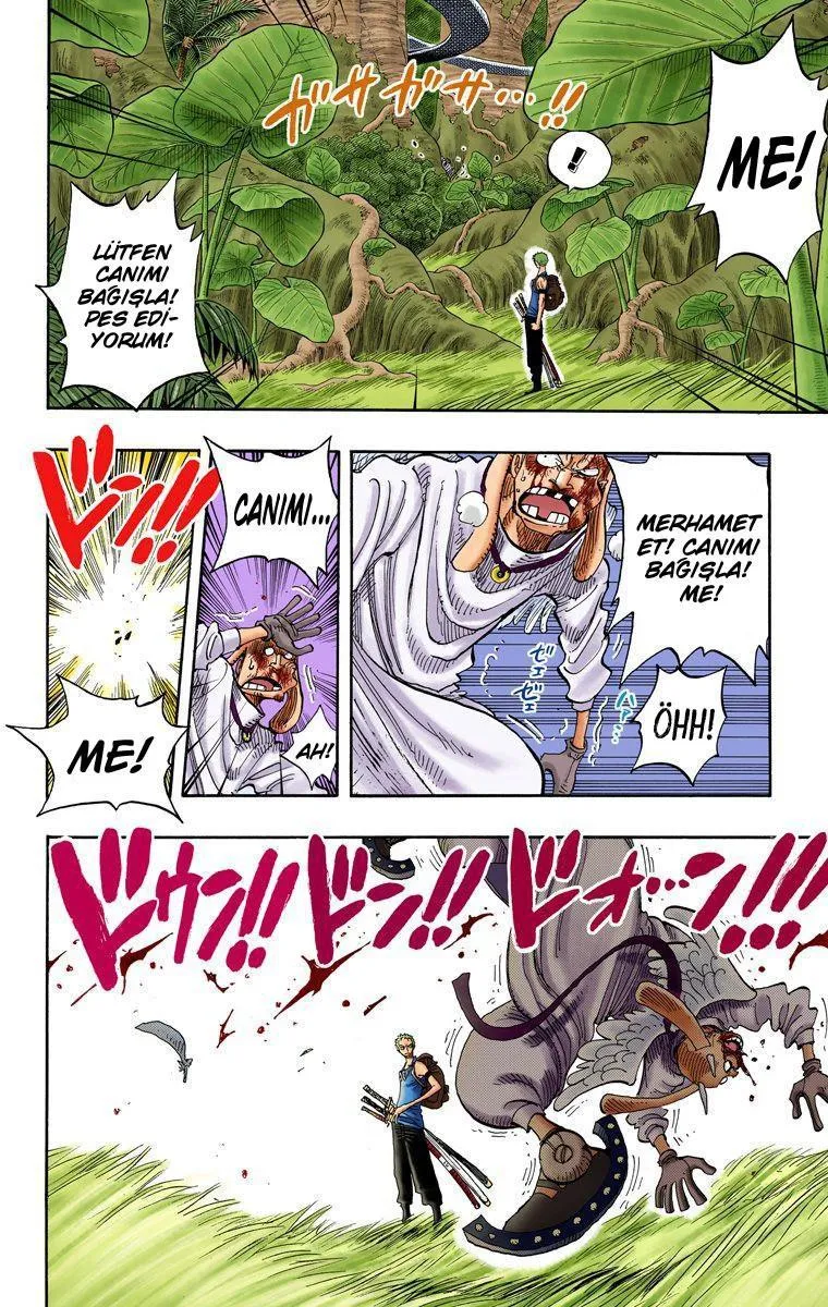 One Piece [Renkli] - Sayfa 15