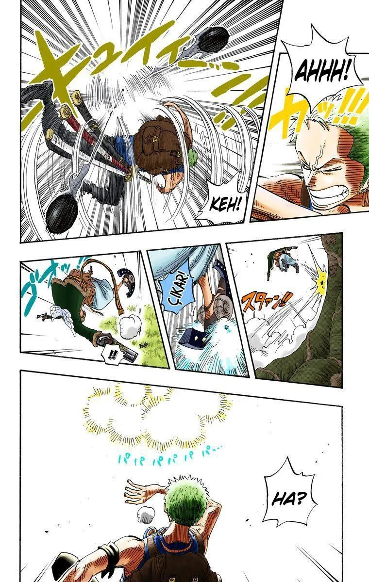 One Piece [Renkli] - Sayfa 17