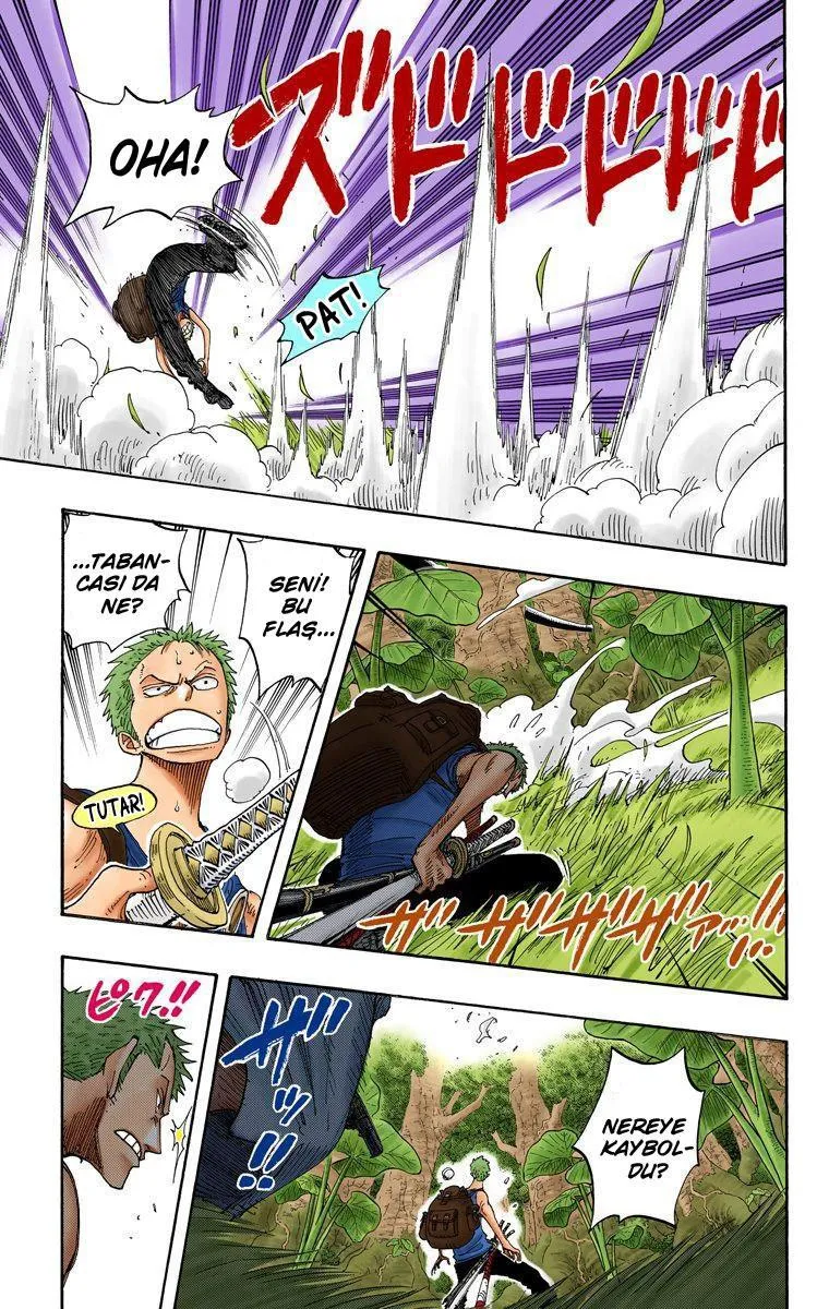 One Piece [Renkli] - Sayfa 18