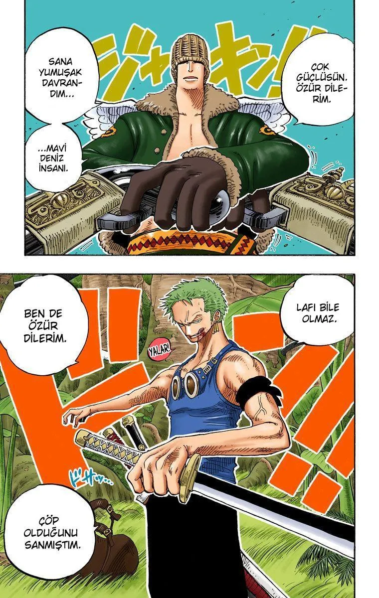 One Piece [Renkli] - Sayfa 20