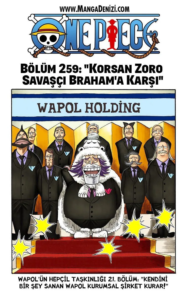 One Piece [Renkli] - Sayfa 2